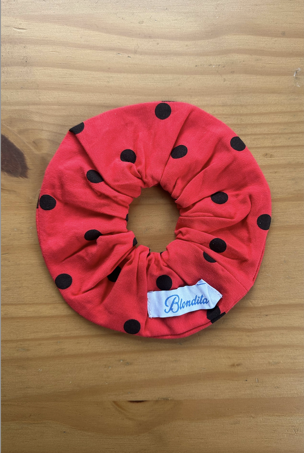 Ladybug Scrunchie