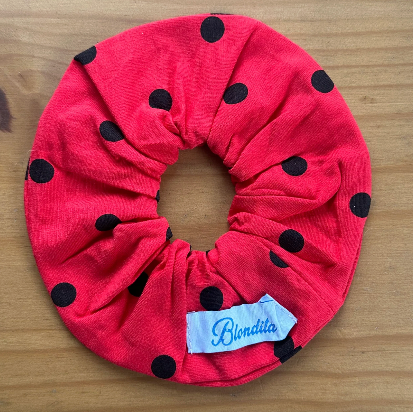Lola Ladybug Dress + Scrunchie Bundle