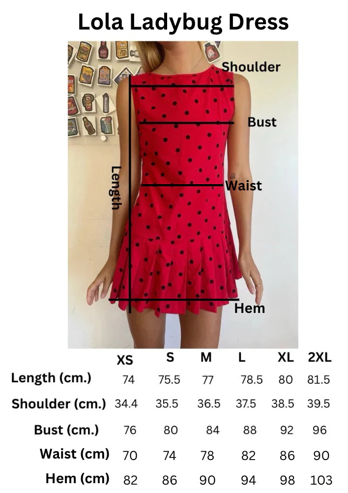 Lola Ladybug Dress + Scrunchie Bundle